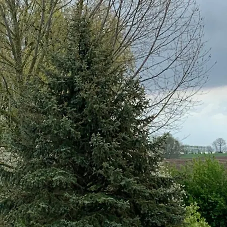505 Heuboden