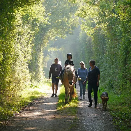 Appartement 505 Heuboden Grömitz