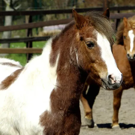 Appartement 505 Heuboden *