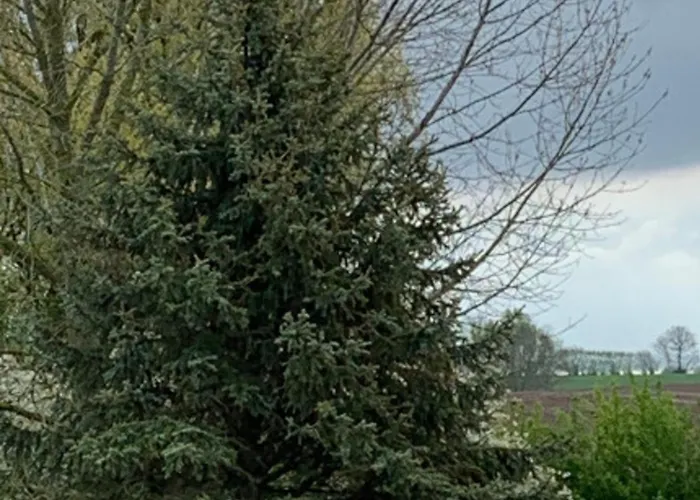 505 Heuboden