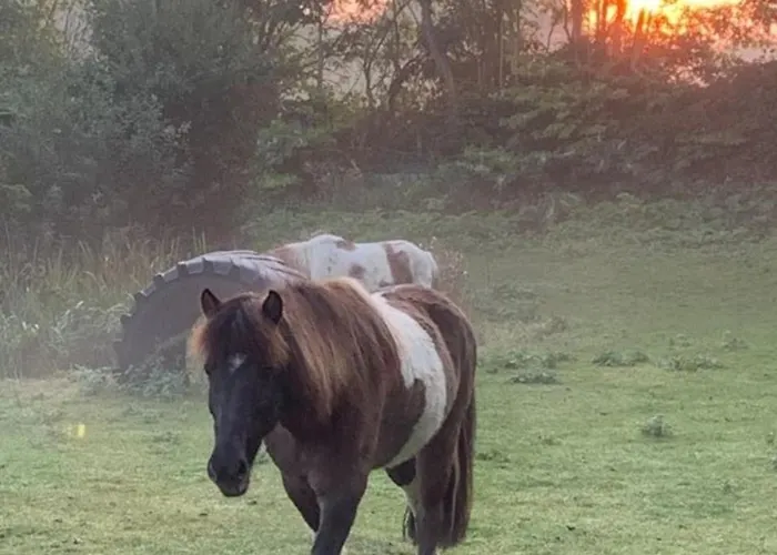 Appartement 505 Heuboden *