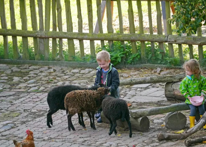 505 Heuboden * Grömitz