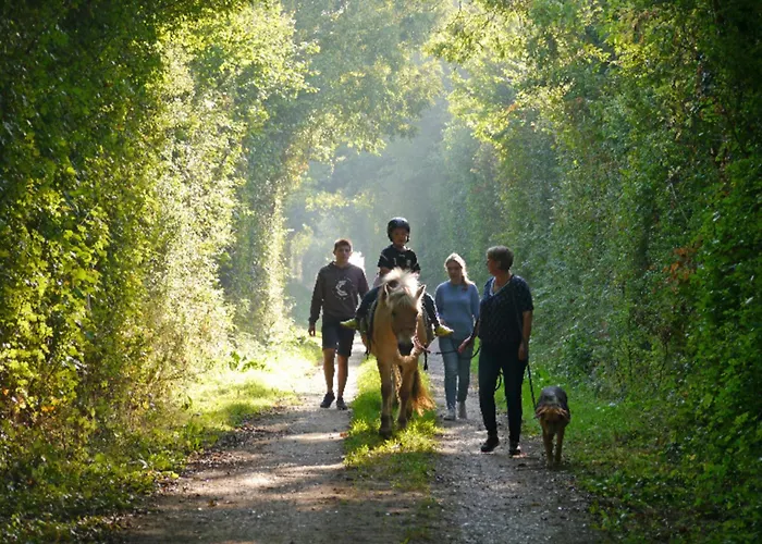 Appartement 505 Heuboden Grömitz