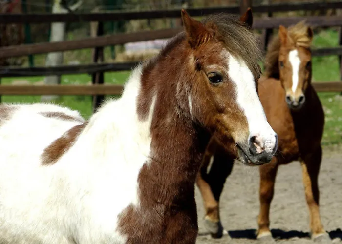Appartement 505 Heuboden *