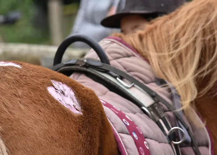 505 Heuboden Grömitz