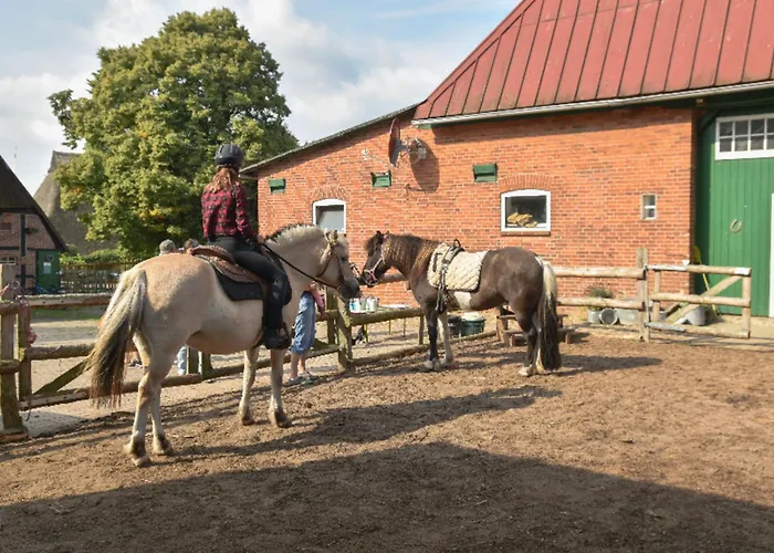 505 Heuboden * Grömitz