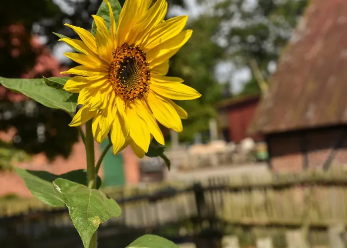 505 Heuboden Appartement *