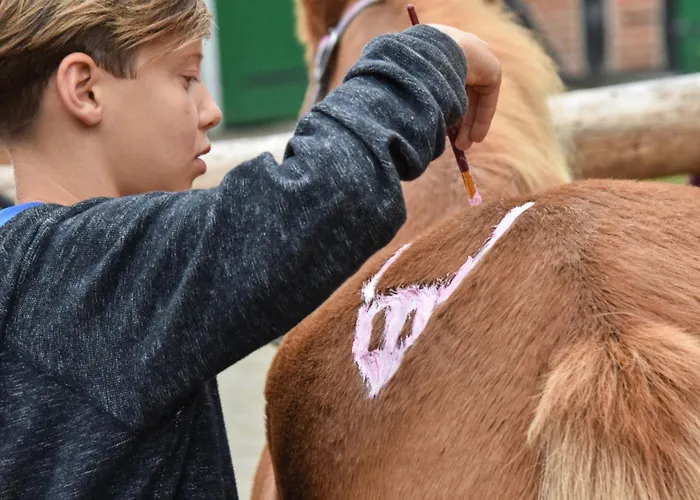 Appartement 505 Heuboden Grömitz